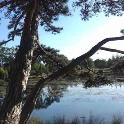 Jardins et parcs - A Paris -