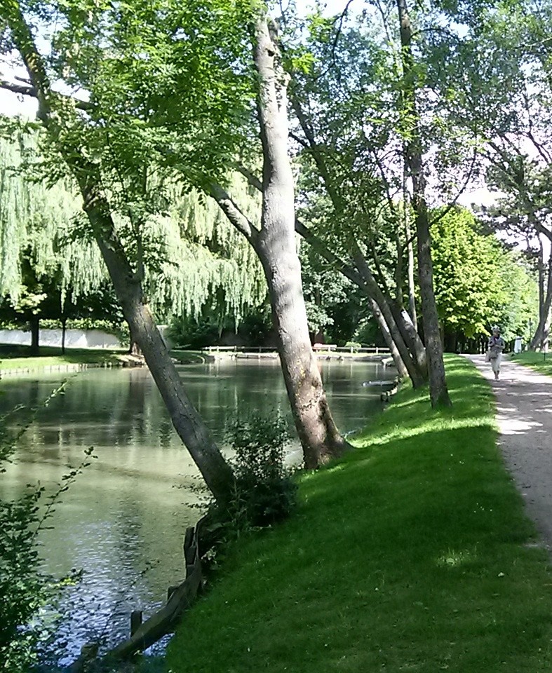 Cam00113