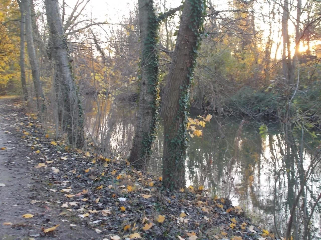 Les bords de l'Orge à Savigny