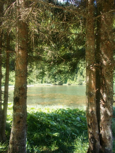 Au bord du lac de Montriond