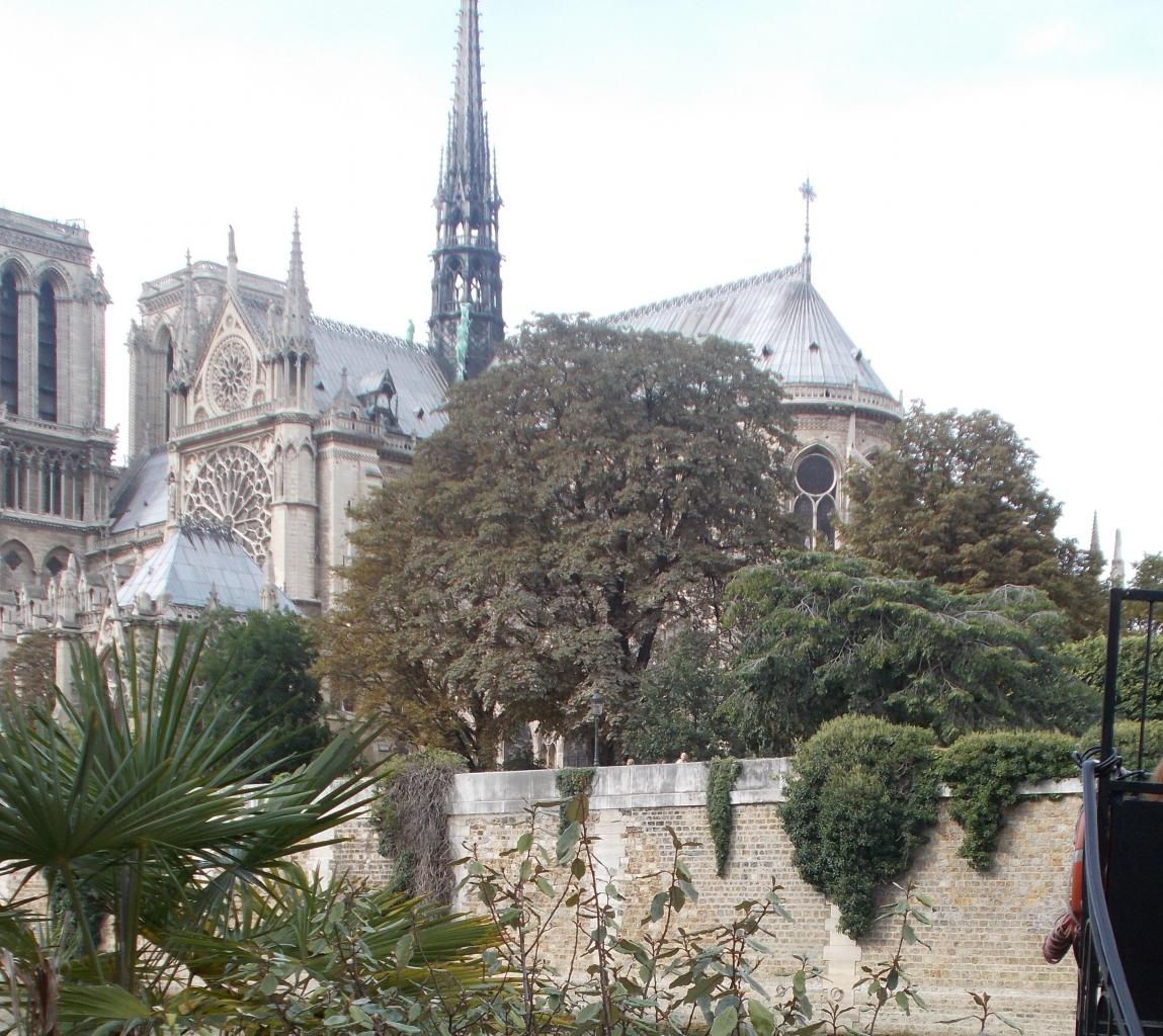 Vue des quais - Nôtre Dame de Paris