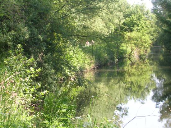 Au bord de l'Orge (Essonne)