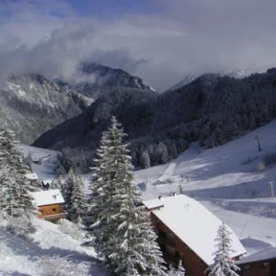Paysage d'hiver