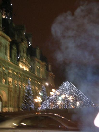 Hotel de ville de Paris Hiver 2010