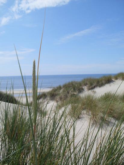 A Berck plage