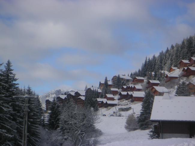 Les chalets de Drouzin