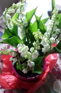 Brins de muguet