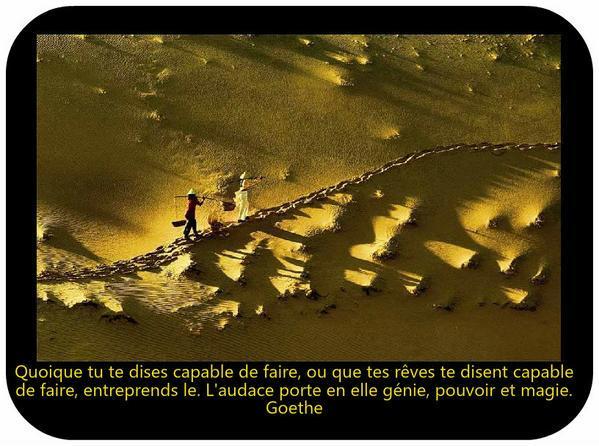 Citation Goethe